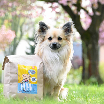 Trockenfutter Huhn - Minis | kleine Rassen - Solli's Hundebedarf