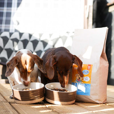 Trockenfutter Lamm - Minis | kleine Rassen - Solli's Hundebedarf