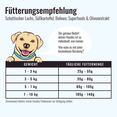 Trockenfutter Schottischer Lachs - Minis | kleine Rassen - Solli's Hundebedarf