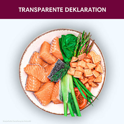 Trockenfutter Schottischer Lachs - Minis | kleine Rassen - Solli's Hundebedarf