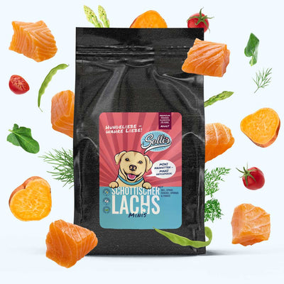 Trockenfutter Schottischer Lachs - Minis | kleine Rassen - Solli's Hundebedarf