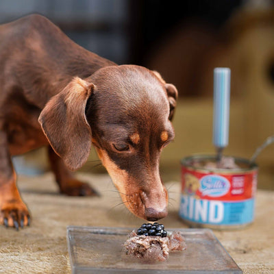 Probe Nassfutter Rind | Adult 200g - Solli's Hundebedarf